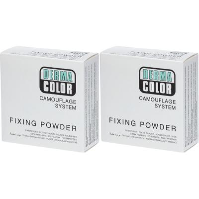 Dermacolor Camouflage Fixierpuder large P11 2x 2x60 g Puder