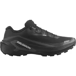 Salomon Herren Genesis 2 GTX schwarz 47.3
