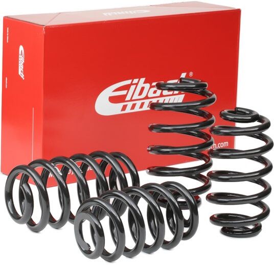 EIBACH E10-15-003-08-22 Suspension kit, coil springs