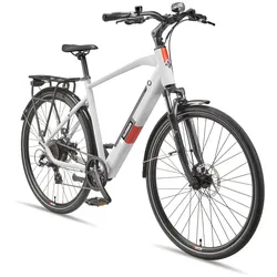 Telefunken Expedition XT490 Trekking E-Bike Herren (250 W, 36 V) - Kreide