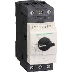 Schneider Electric GV3P18 GV3P18 Motorschutzschalter 1 St.