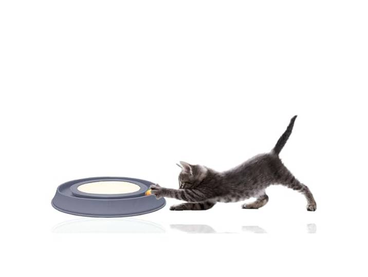 Silvio Design Intelligenzspielzeug Happy Cat (Blau)