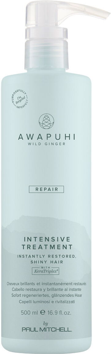 500ml Paul Mitchell Awapuhi Wild Ginger Intensive Treatment