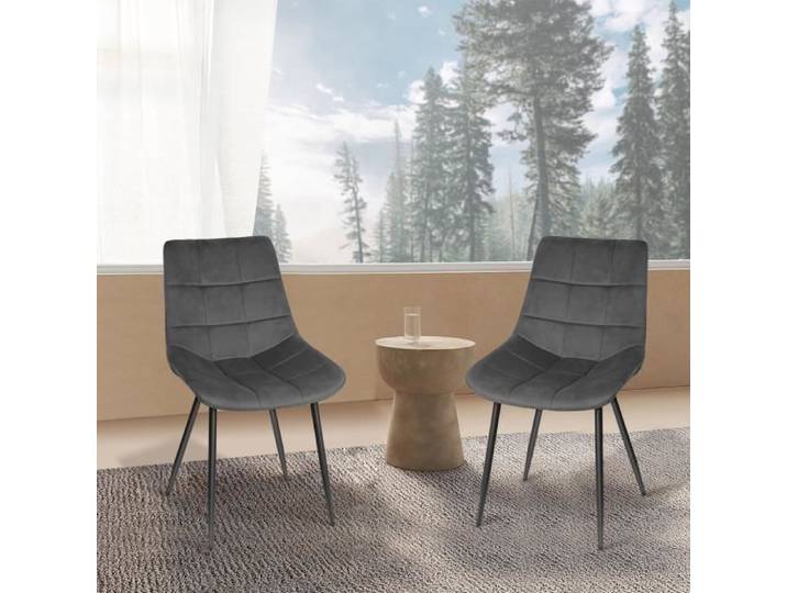 AMIVIALE. Chaises de salle à manger en gris foncé- Set de deux- Pieds en fer en velours- Style moderne - Pour le salon la cuisine