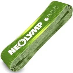 NEOLYMP Gymnastikband Stoff mit Verstellschnalle, Größe 200 x 5,8 cm in Grün Grün