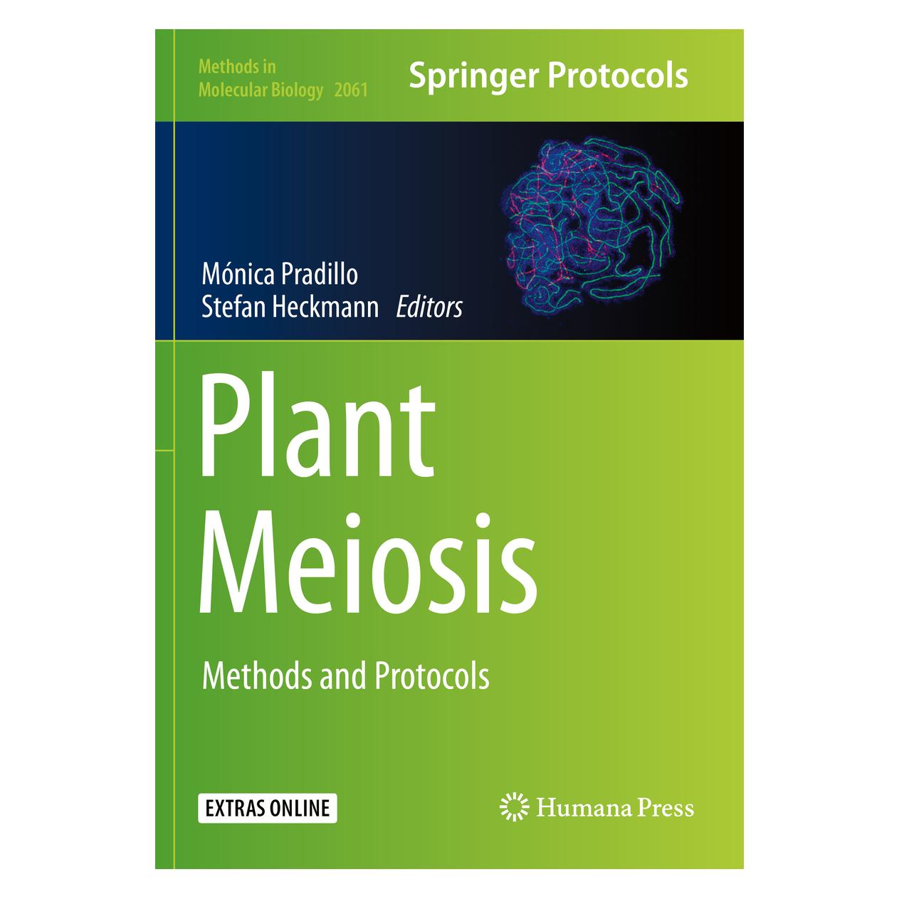 Springer Plant Meiosis (Englisch, Softcover, Mónica Pradillo, Stefan Heckmann) (56161987)