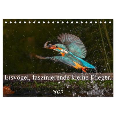 Eisvögel, faszinierende kleine Flieger. (Tischkalender 2027 DIN A5 quer), CALVENDO Monatskalender