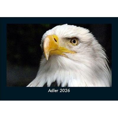 Adler 2026 Fotokalender DIN A5