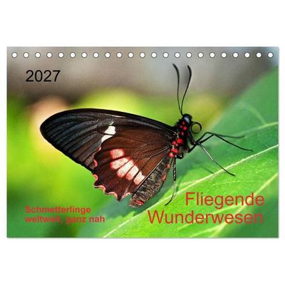 Fliegende Wunderwesen. Schmetterlinge weltweit, ganz nah (Tischkalender 2027 DIN A5 quer), CALVENDO Monatskalender