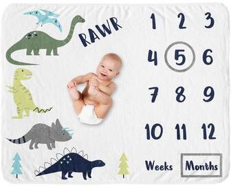 Sweet Jojo Designs Mod Dino Collection Boy Baby Monthly Milestone Blanket - Blue, Green and Grey Modern Dinosaur Rawr