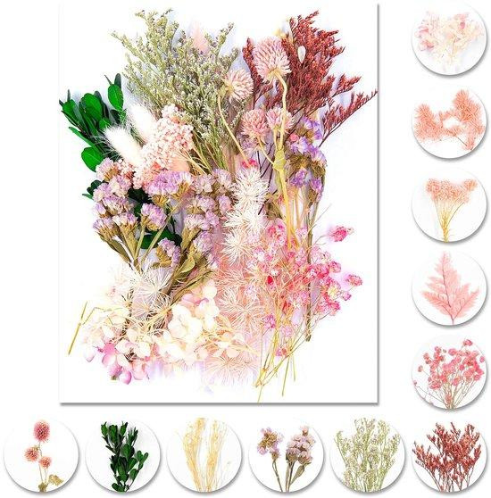 Benza Set gedroogde bloemen lichtroze voor decoratie en knutselen