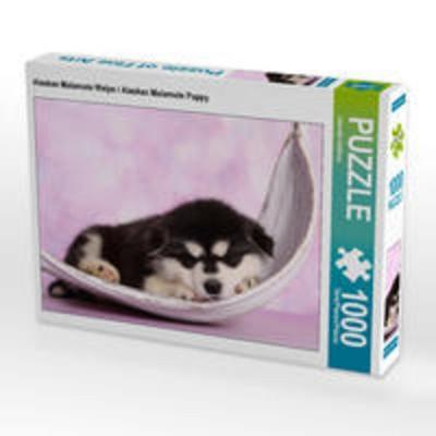 CALVENDO Puzzle Alaskan Malamute Welpe / Alaskan Malamute Puppy 1000 Teile Lege-Größe 64 x 48 cm Foto-Puzzle Bild von Jeanette Hutfluss