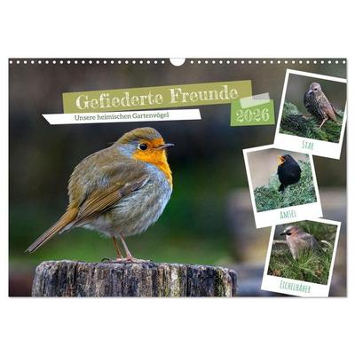 Gefiederte Freunde - Unsere heimischen Gartenvögel (Wandkalender 2026 DIN A3 quer), CALVENDO Monatskalender