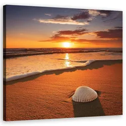 WANDBILD muscheln natur