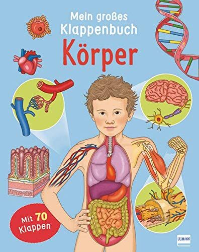 Eleonora Barsotti - Mein großes Klappenbuch - Körper - Preis vom 14.10.2026 23:07:16 h