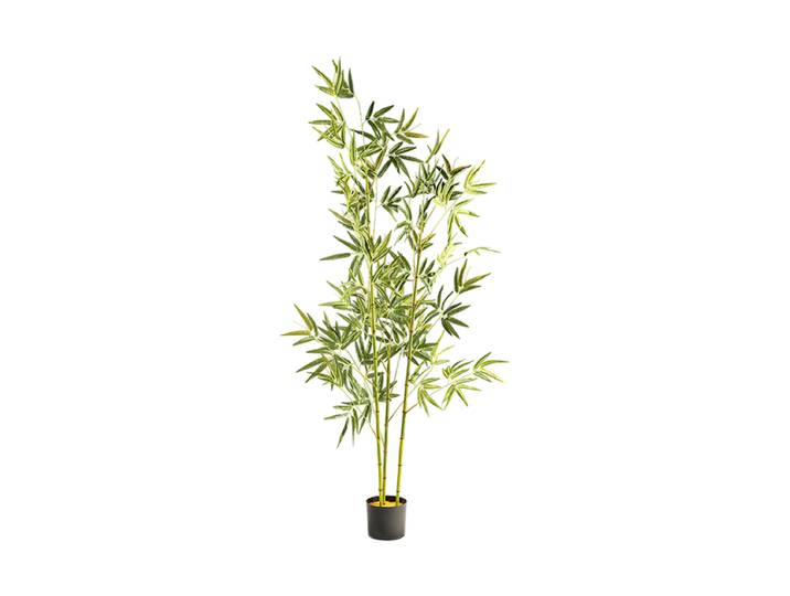 Hochwertige Kunstpflanze „Bambu“ Grün, Braun Schuller
