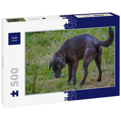 Lais Puzzle Labrador 500 Teile