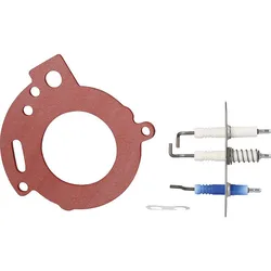 Elektrodensatz, Bosch 8737602770