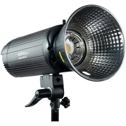 Walimex pro Campaigner 400 HS Studioblitz (Blitzkopf, 400 Ws), Studioblitz, Schwarz