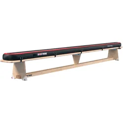 Sport-Thieme, Turngerät