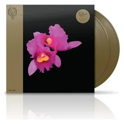 Sooper Records, Schallplatten, ORCHID - GOLD (COLV) (GOL) (REIS) (Opeth)