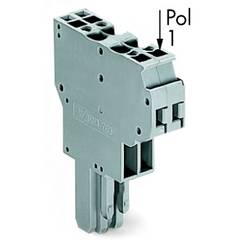 WAGO 769-123 Federleiste 5 mm Zugfeder Belegung: L Grau 25 St. Package