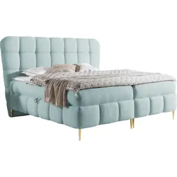 BOXBETT Lolly - H3