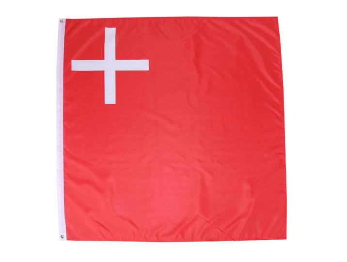 Kantonsflagge Schwyz 120 x 120 cm