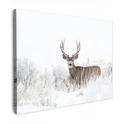 LEINWANDBILD Hirsche - Winter - Schnee - Tiere - Jahreszeiten - Weiß Wandbild 40x30 cm