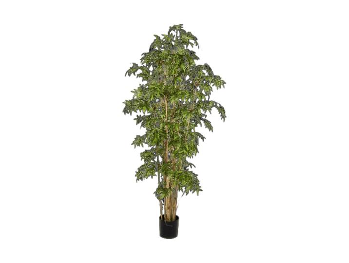 Lebensechte Kunstpflanze „Bamboo Japanese“, verschiedene Grössen Grün Baq Design