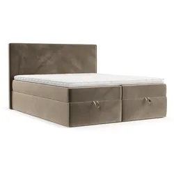BOXBETT Velma 160/200 cm Taupe im Paros Stoff