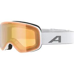 Alpina, Skibrille