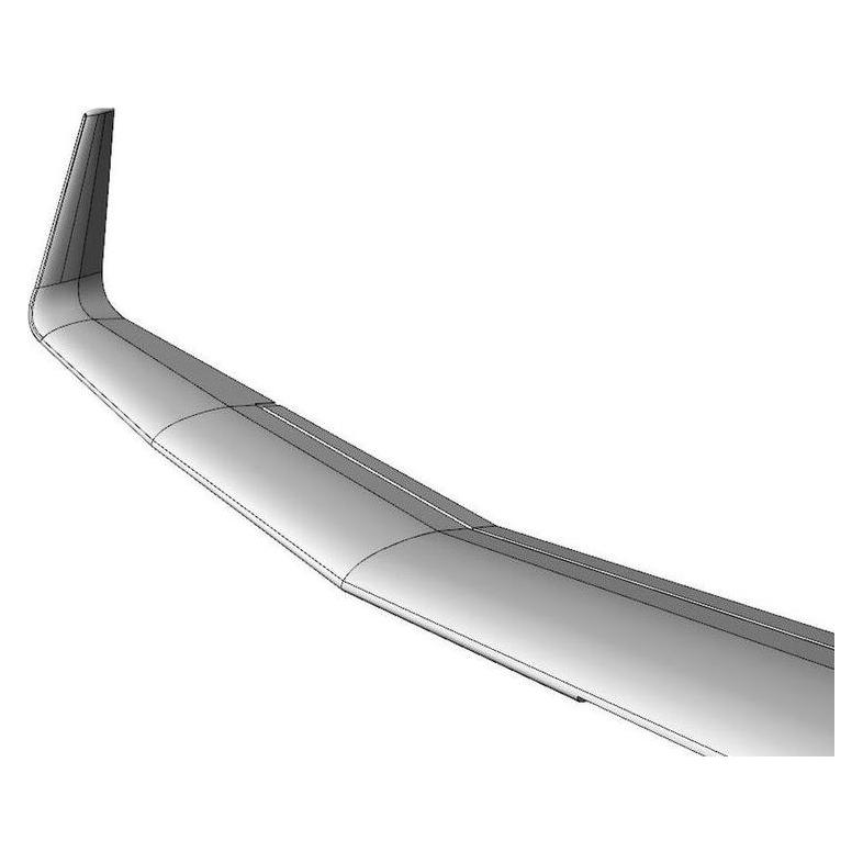 Brengun DG-1000 glider- 20m Winglets ( kit) (BRL48174)