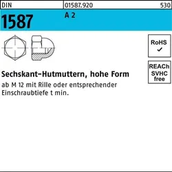 Sechskanthutmutter DIN 1587 M8 A 2 500 Stück