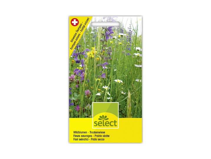 Select Wildblumen Trockenwiese