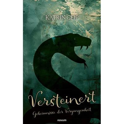 Versteinert, Taschenbuch von Katrin Geip, Novum Verlag, 978-3-7116-0370-8