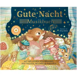 Gute Nacht Musikbuch, Kinderbücher von Jennifer Eckford, Amy Adele