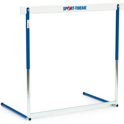 Sport-Thieme, Leichtathletik, (5500 g)