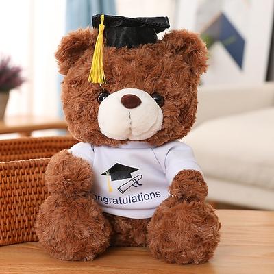 Abschlussgeschenke Teddybär Stofftier Plüschtier mit Doktorhut Samt Goldbarren Quaste Diplom für Mann Frauen Mädchen Jungen Glückwunschparty