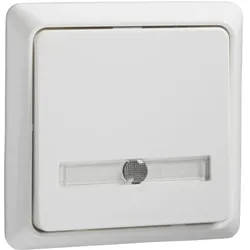 Elso 506314 Taster 42V/1A Aufputz flach beleuchtet RENOVIERUNG reinweiß