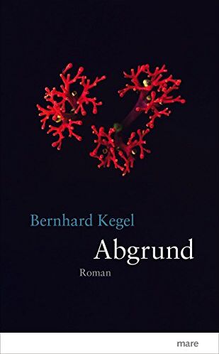 Bernhard Kegel - Abgrund - Preis vom 09.10.2026 07:28:09 h