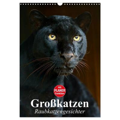Großkatzen. Raubkatzengesichter (Wandkalender 2027 DIN A3 hoch), CALVENDO Monatskalender