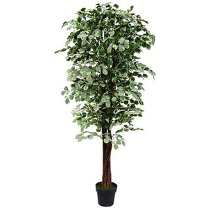Decovego Kunstpflanze Ficus Benjamin, Kunstbaum im Topf, mit Echtholzstamm, Höhe 180 cm