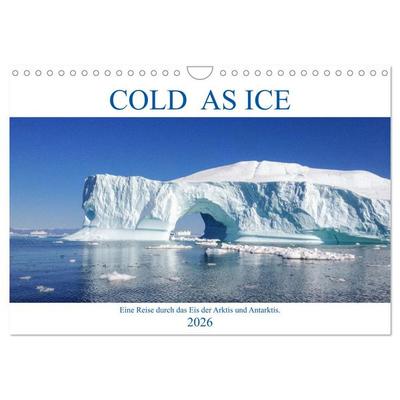 Cold as Ice - Eindrücke aus Arktis und Antarktis (Wandkalender 2026 DIN A4 quer), CALVENDO Monatskalender