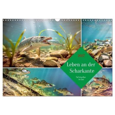 Leben an der Scharkante (Wandkalender 2027 DIN A3 quer), CALVENDO Monatskalender