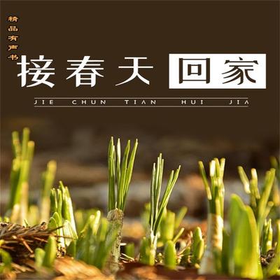 接春天回家 - 张日新, Audio, 4099995967203