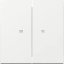 Wippe 2-fach, Kontrollfenster, rws glz, System 55, 363103 Gira