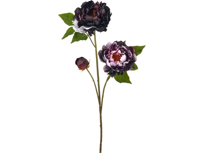 Kunstblume Peonie H80cm aubergine - Material: Kunststoff - Kunstblume