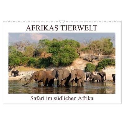Afrikas Tierwelt, Safari im südlichen Afrika (Wandkalender 2027 DIN A3 quer), CALVENDO Monatskalender