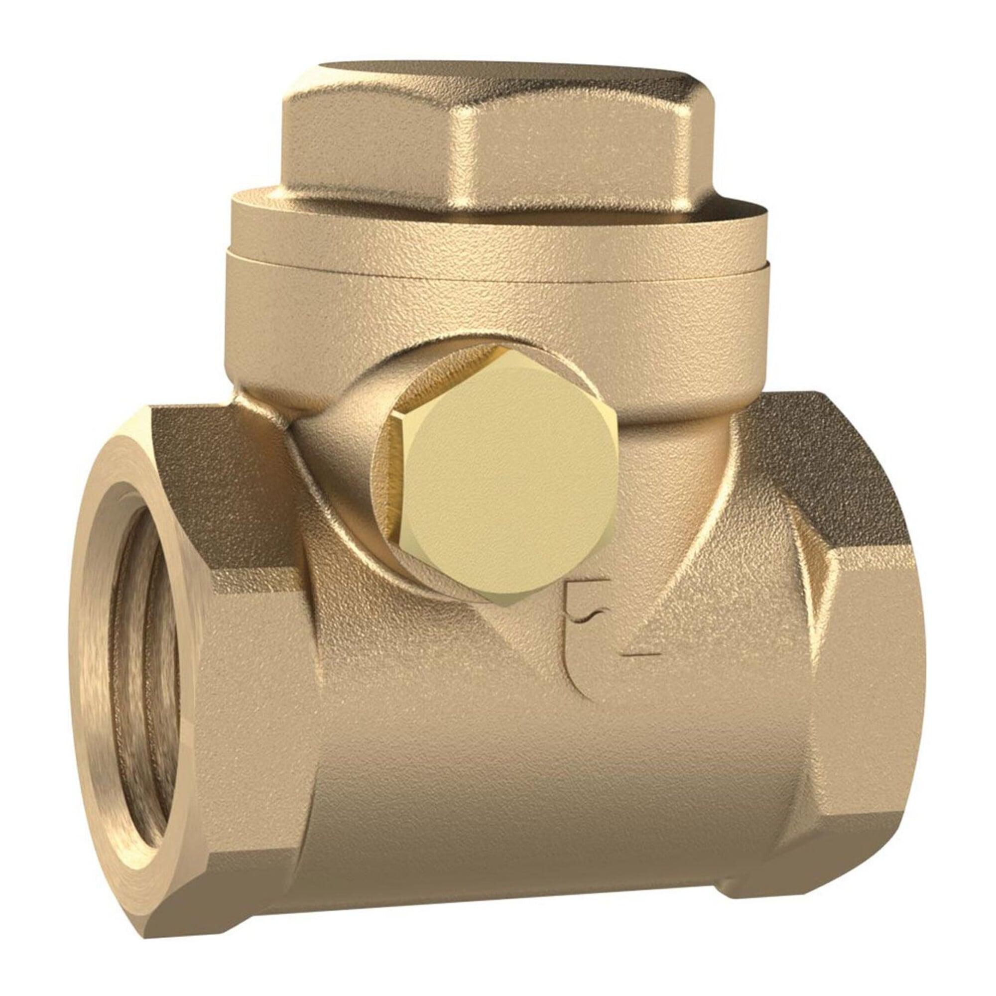 Riegler Rückschlagklappe, DN 32, Messing, G 1 1/4, PN max. 10 bar (RK114MSE)